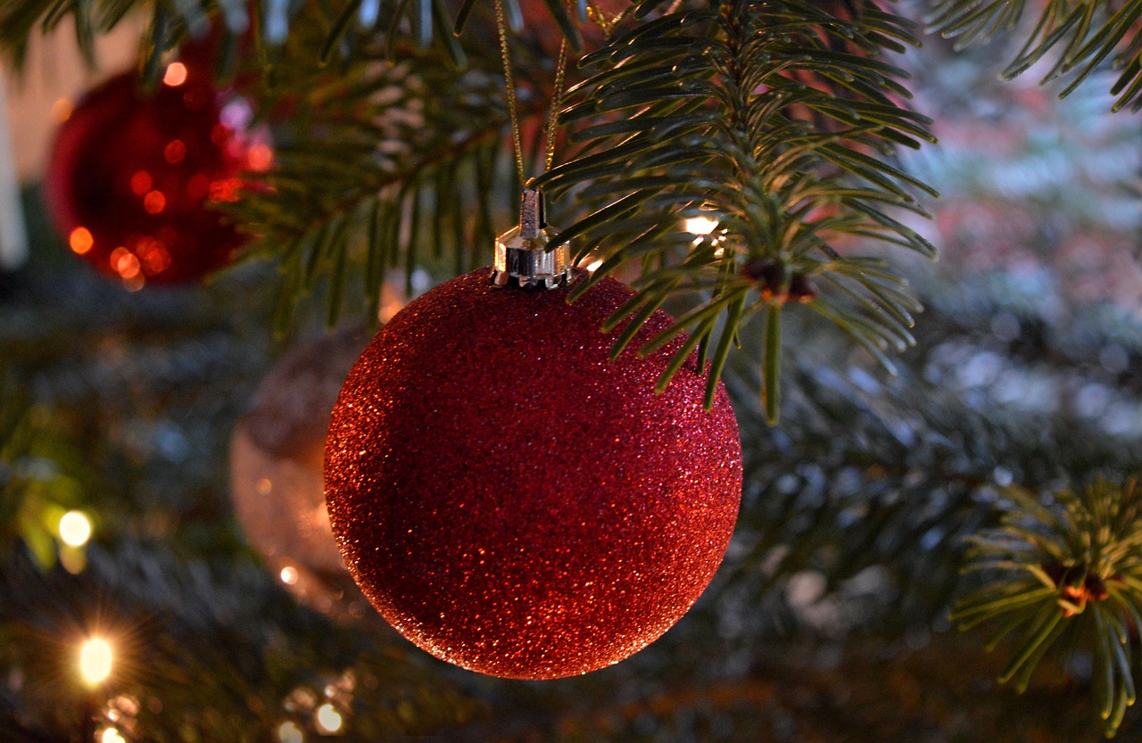christmas tree, christmas, ornament, decoration, season, christmas motif, christmas decorations, red ball, red bauble, myfestiveseason, germany, christmas time, red christmas balls, christmas eve, decorated fir tree, red balls, fir tree decorations, christmas decoration, christmas tree decorations, fir branch, christmas tree, christmas tree, christmas tree, christmas, christmas, christmas, christmas, christmas